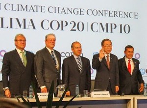 AA - COP 20