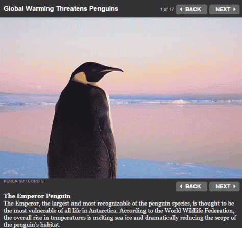 screenhunter_183-apr-13-18-52